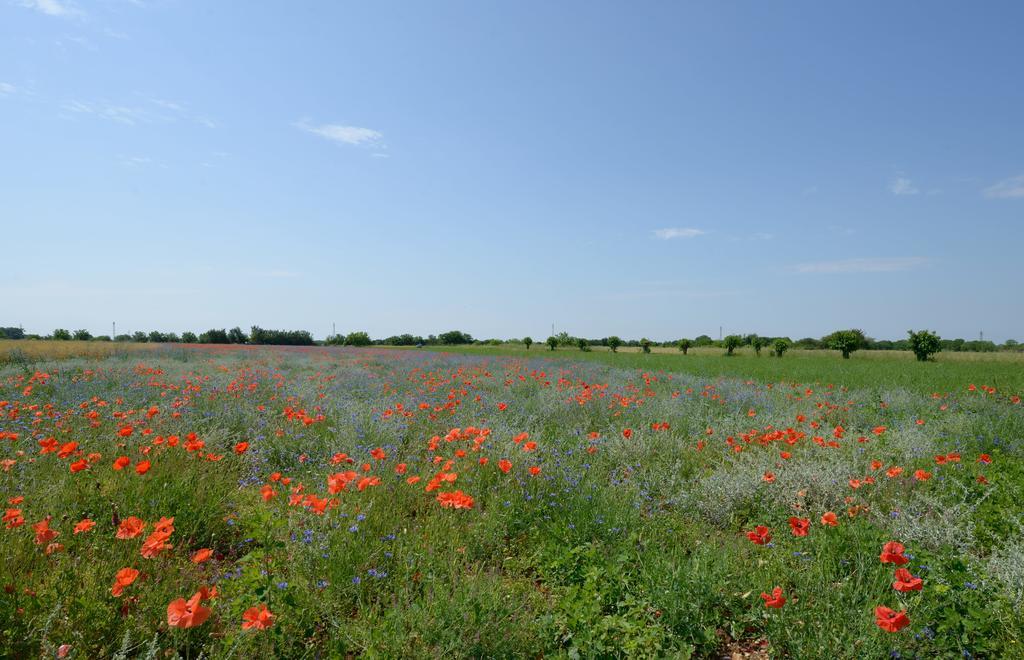 Agriturismo Residence Caporale Remanzacco Buitenkant foto